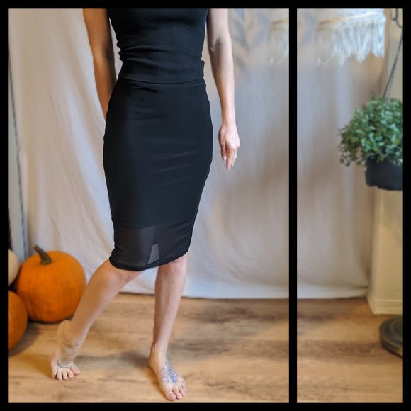 Stretchy Black Pencil Skirt w/ Sheer Bottom Sectio - Picture 2 of 2